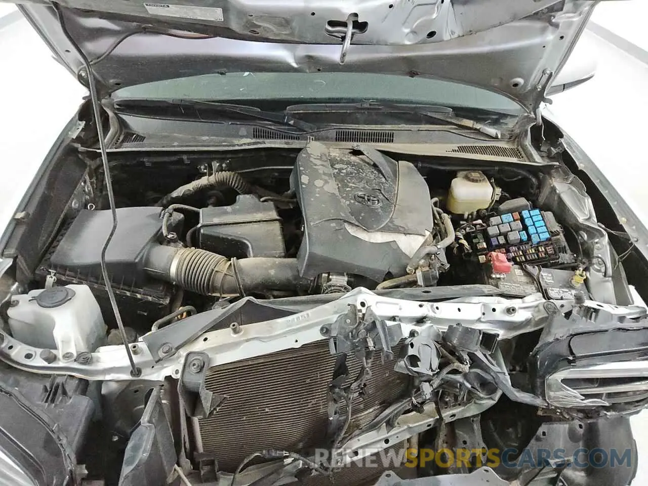 11 fotografías del automóvil dañado 3TMCZ5AN3PM541979 TOYOTA TACOMA 2023