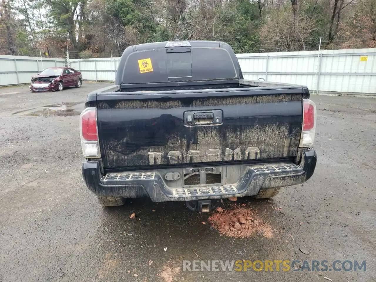 6 fotografías del automóvil dañado 3TMCZ5AN3PM581348 TOYOTA TACOMA 2023