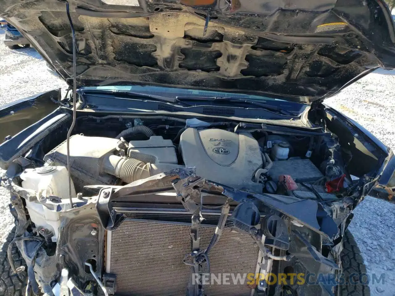 11 fotografías del automóvil dañado 3TMCZ5AN4PM596361 TOYOTA TACOMA 2023
