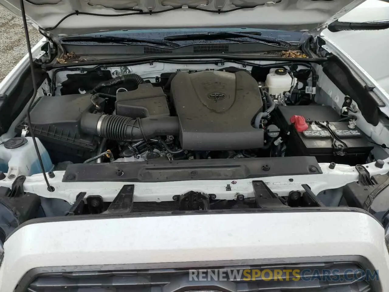 13 fotografías del automóvil dañado 3TMCZ5AN4PM606693 TOYOTA TACOMA 2023