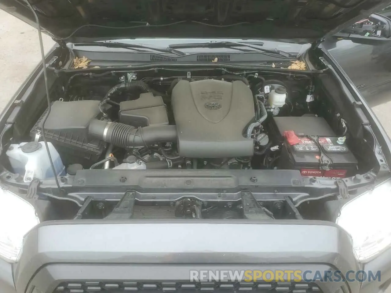 11 fotografías del automóvil dañado 3TMCZ5AN4PM635255 TOYOTA TACOMA 2023