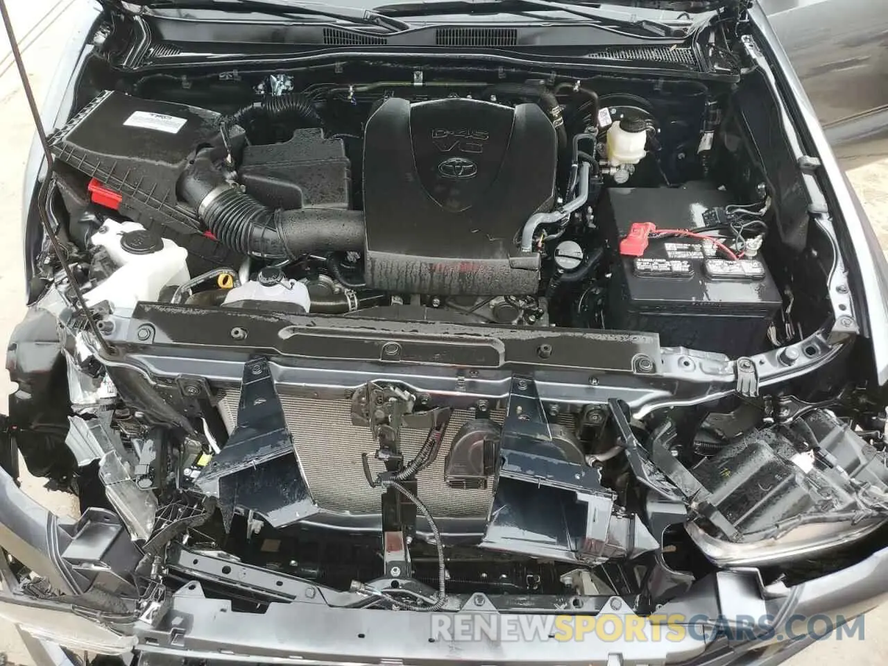 11 fotografías del automóvil dañado 3TMCZ5AN5PM560517 TOYOTA TACOMA 2023