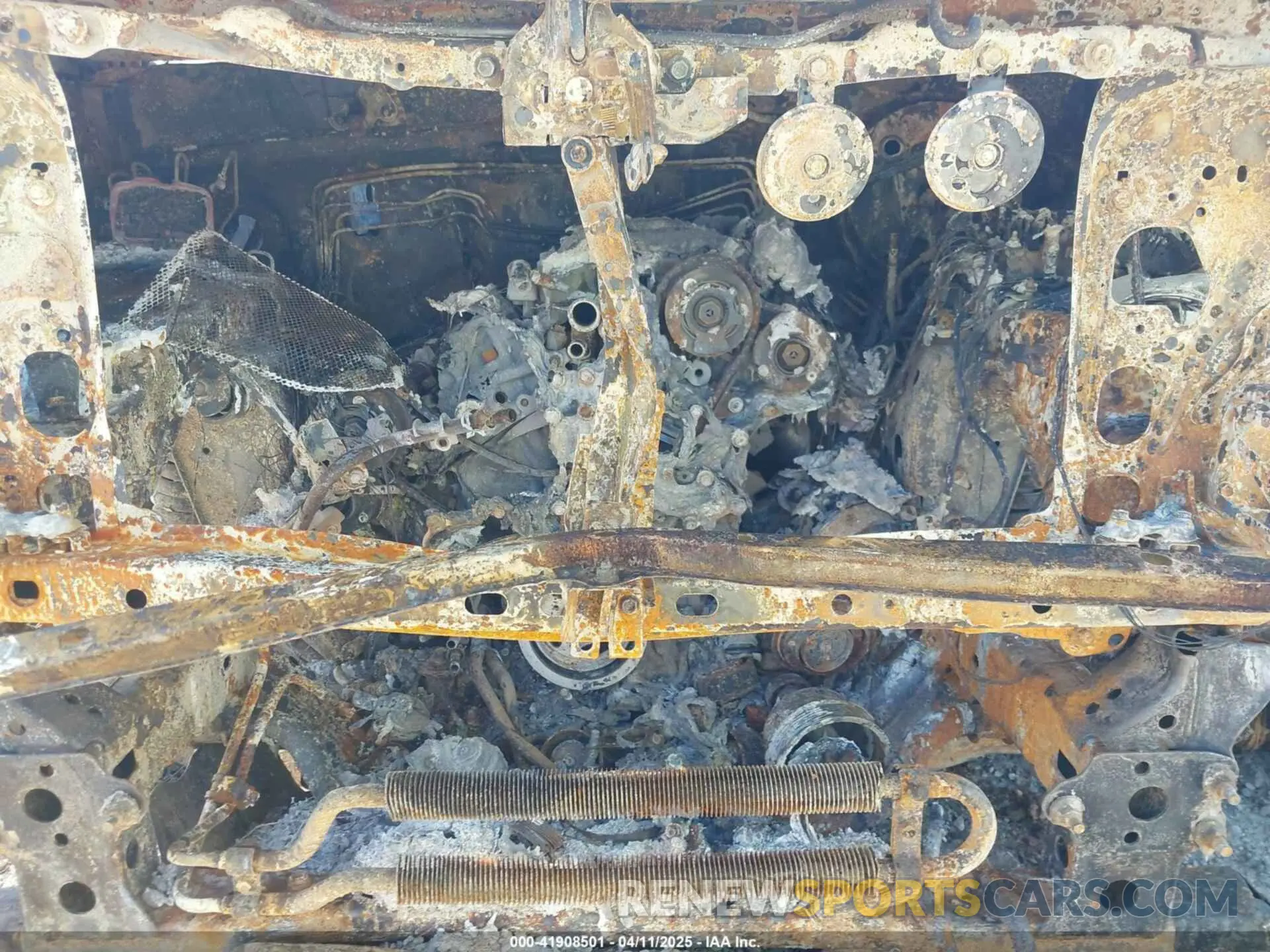 10 fotografías del automóvil dañado 3TMCZ5AN6PM544942 TOYOTA TACOMA 2023