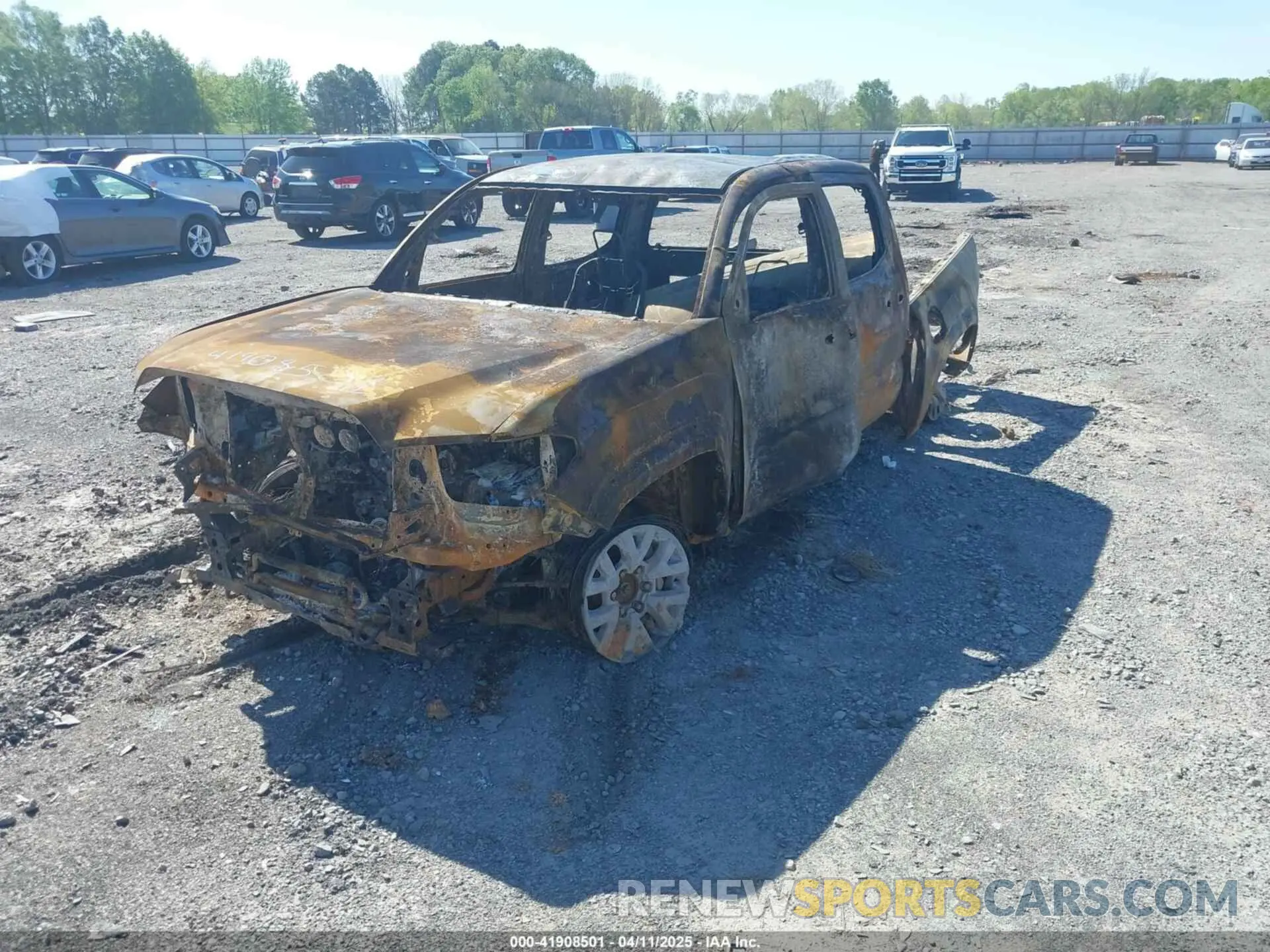 2 fotografías del automóvil dañado 3TMCZ5AN6PM544942 TOYOTA TACOMA 2023