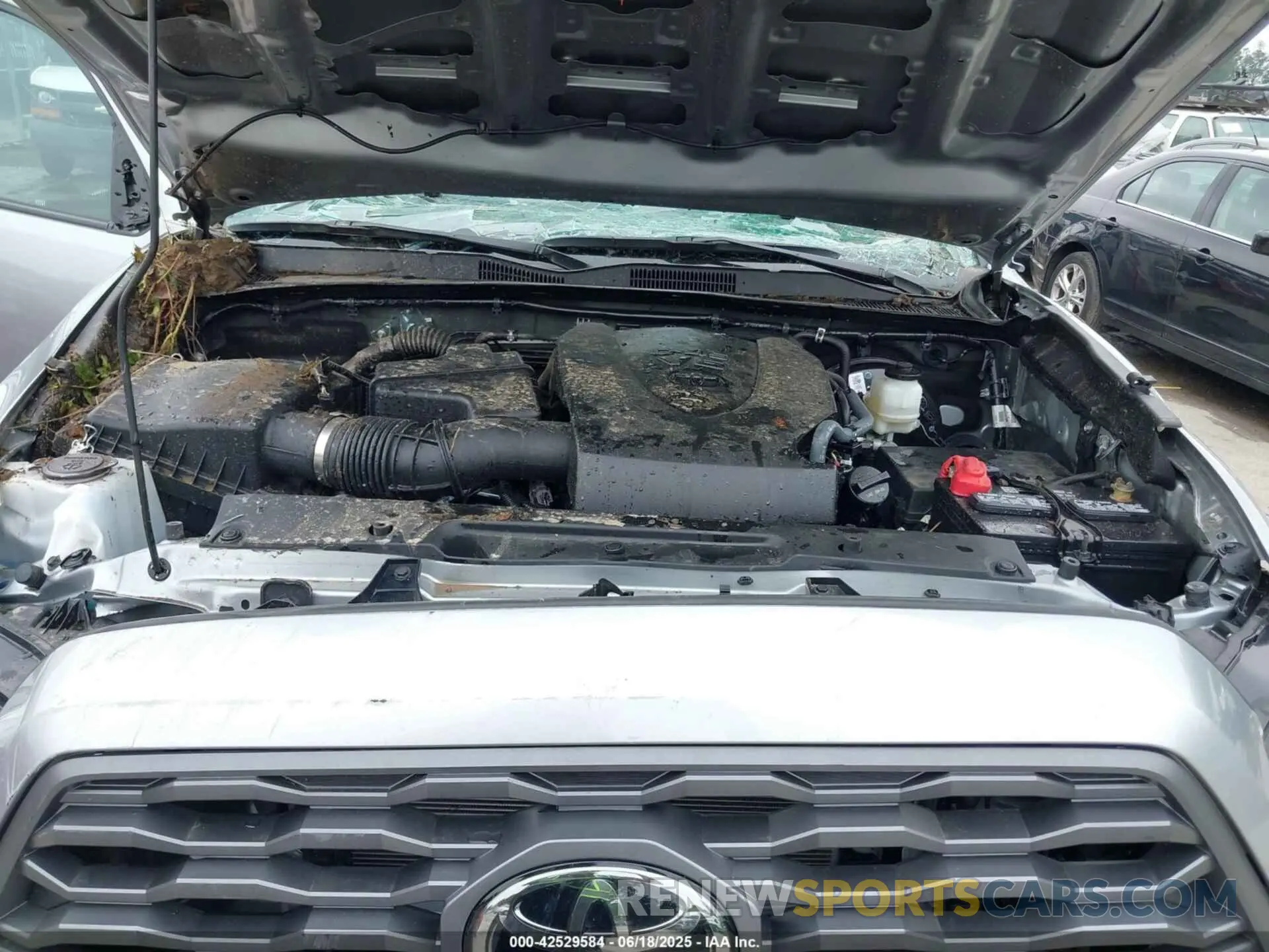 10 fotografías del automóvil dañado 3TMCZ5AN7PM571938 TOYOTA TACOMA 2023