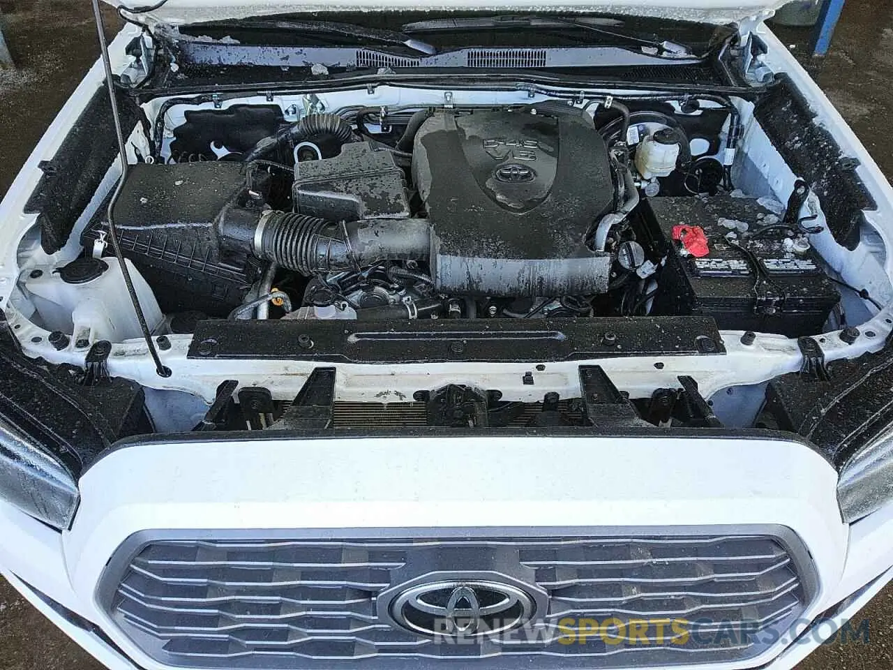 11 fotografías del automóvil dañado 3TMCZ5AN7PM585502 TOYOTA TACOMA 2023