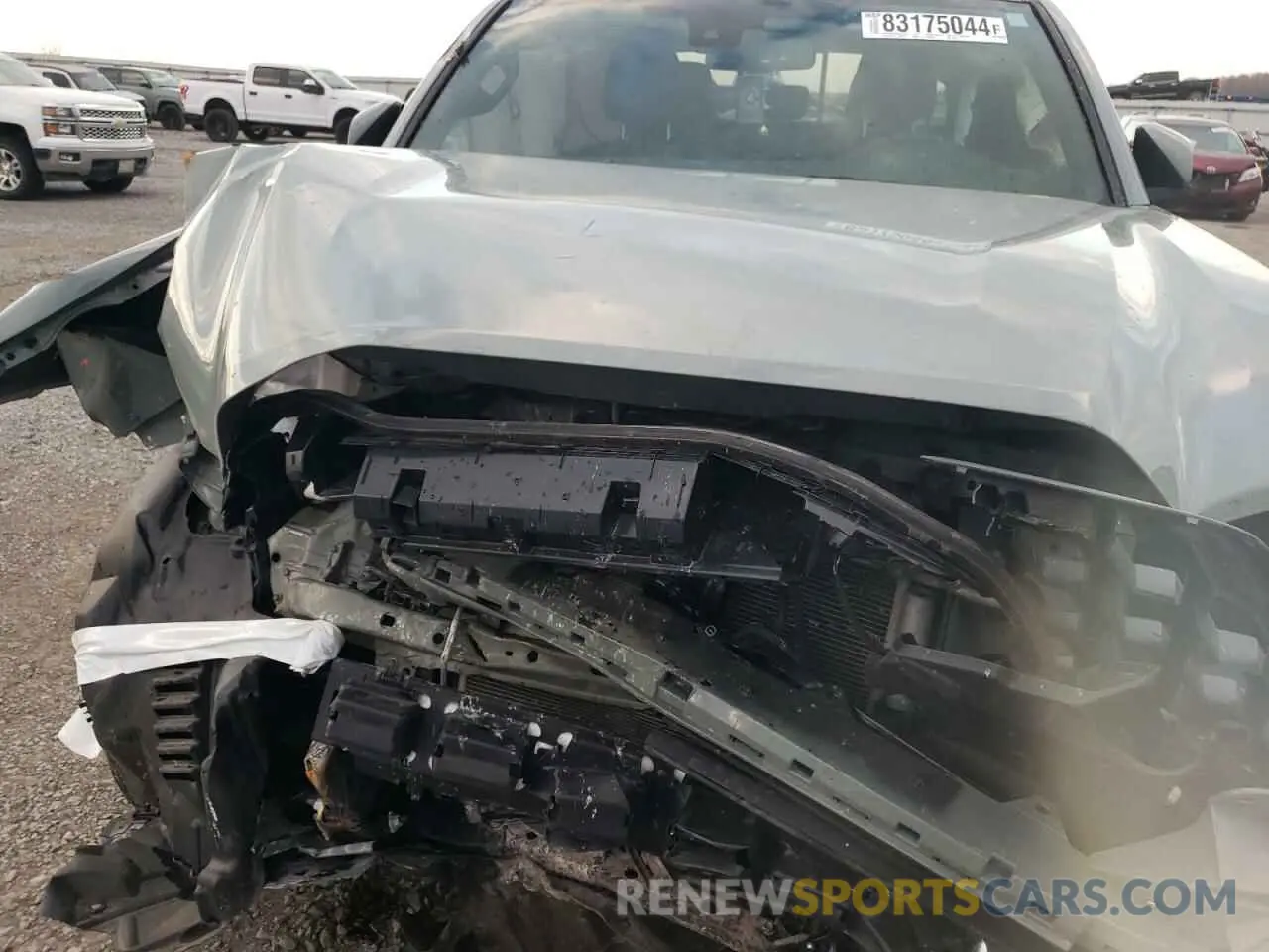 11 fotografías del automóvil dañado 3TMCZ5AN7PM588111 TOYOTA TACOMA 2023