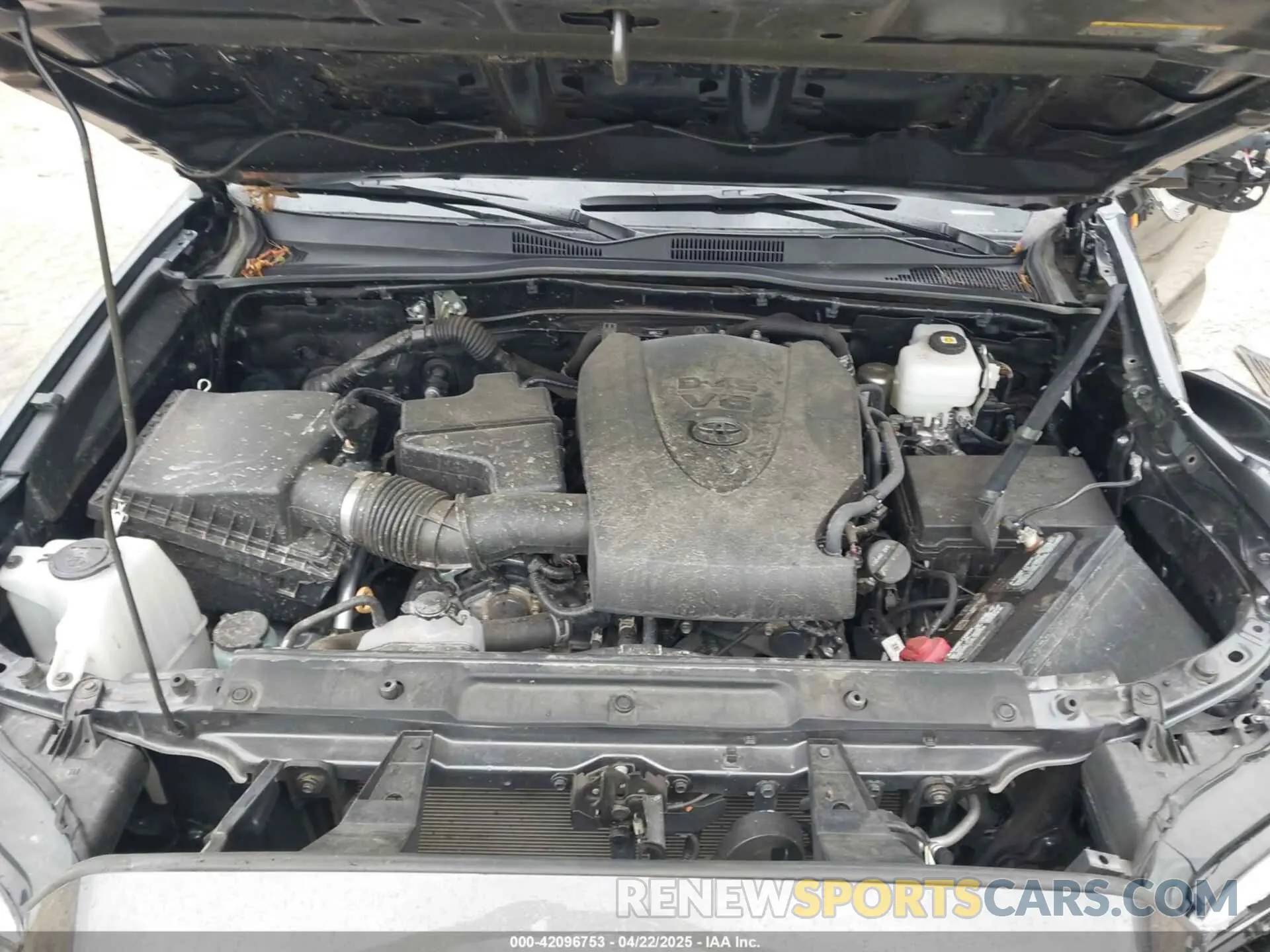 10 fotografías del automóvil dañado 3TMCZ5AN7PM614741 TOYOTA TACOMA 2023