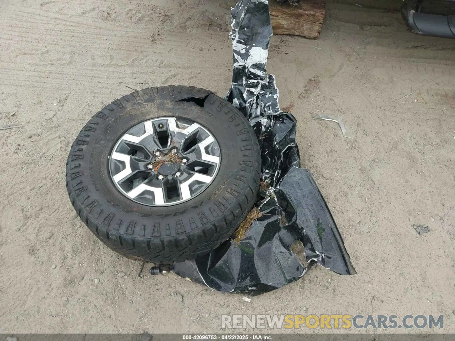 11 fotografías del automóvil dañado 3TMCZ5AN7PM614741 TOYOTA TACOMA 2023
