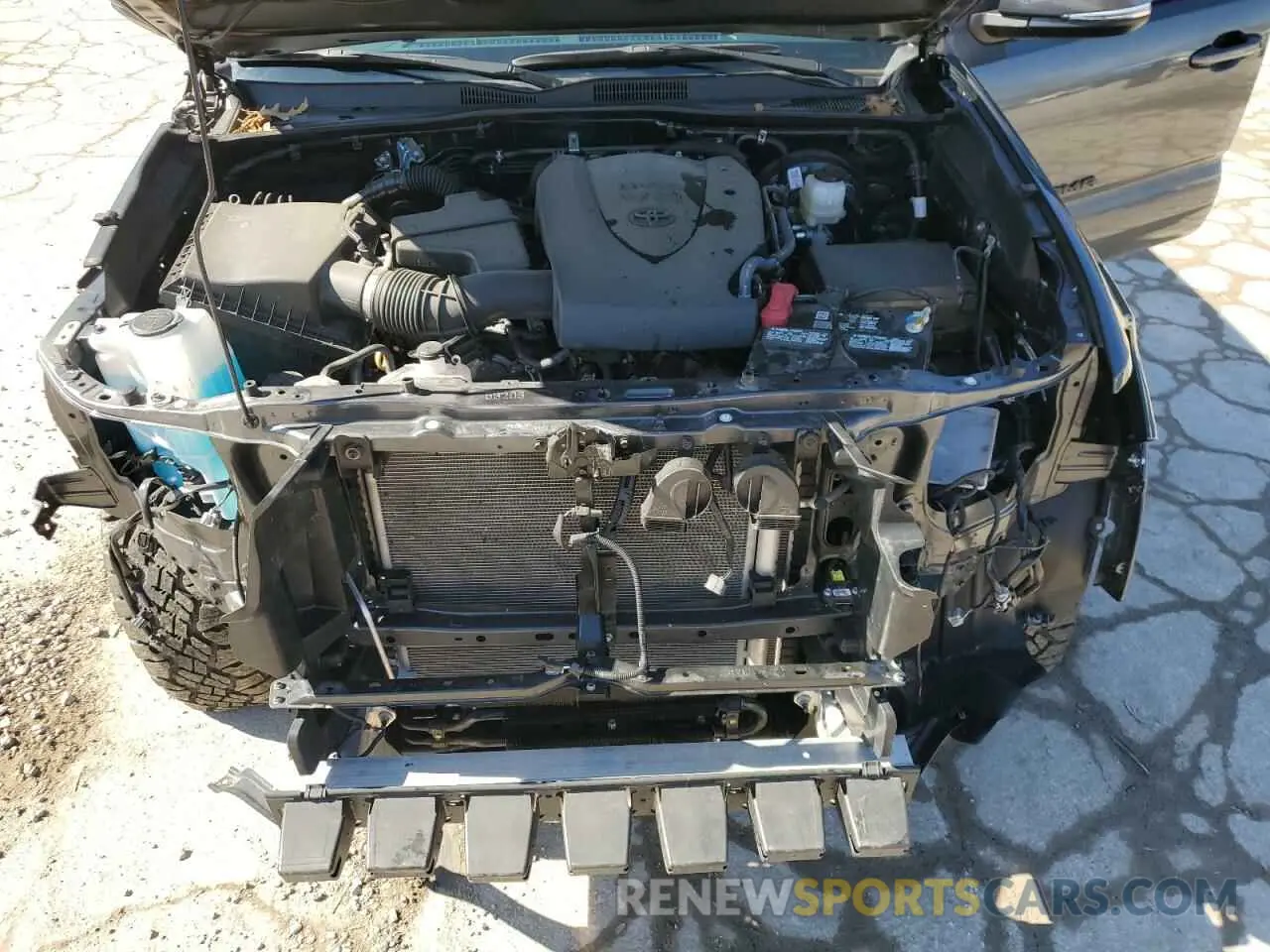 12 fotografías del automóvil dañado 3TMCZ5AN7PM628719 TOYOTA TACOMA 2023