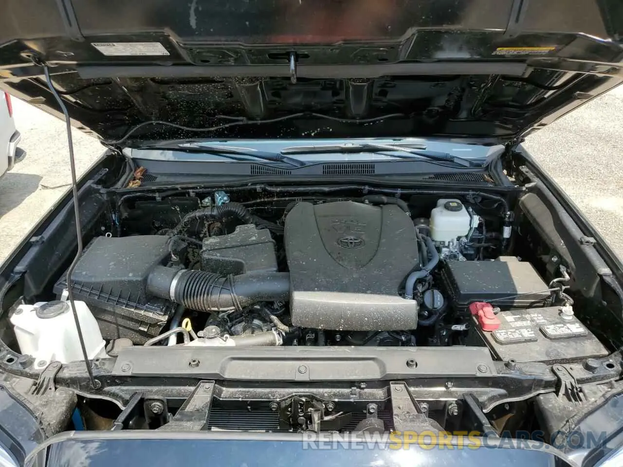 11 fotografías del automóvil dañado 3TMCZ5AN7PM644841 TOYOTA TACOMA 2023