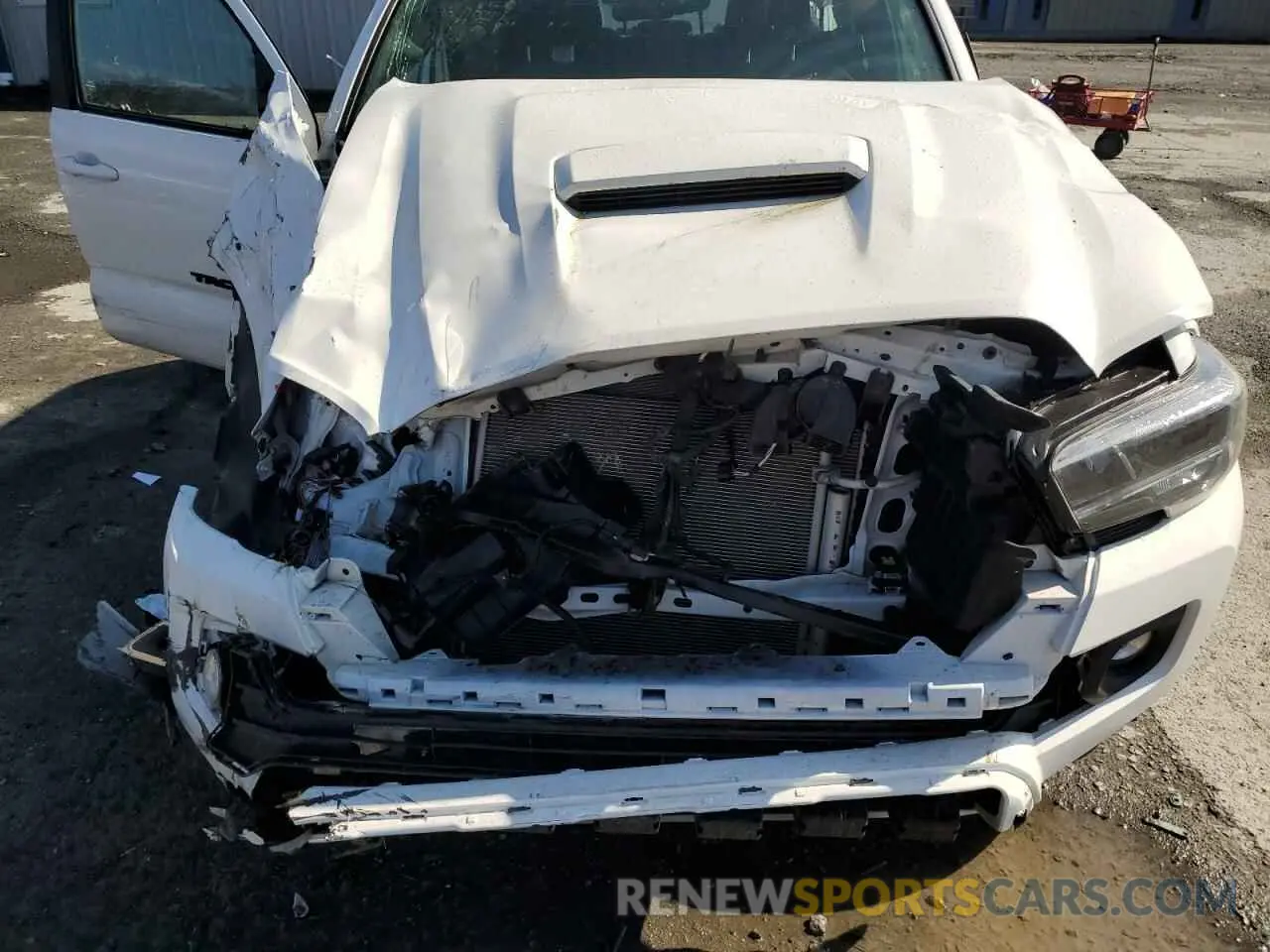 12 fotografías del automóvil dañado 3TMCZ5AN7PM649683 TOYOTA TACOMA 2023