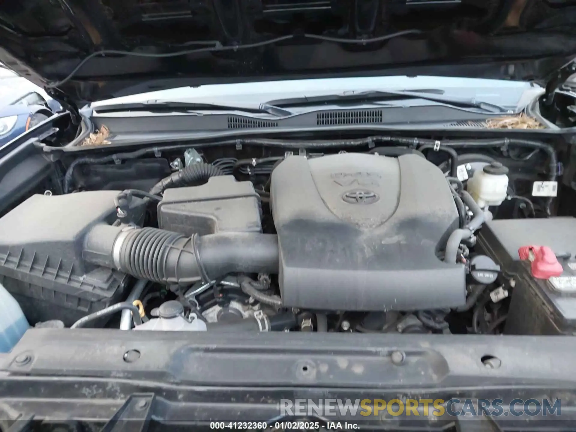10 fotografías del automóvil dañado 3TMCZ5AN8PM537944 TOYOTA TACOMA 2023