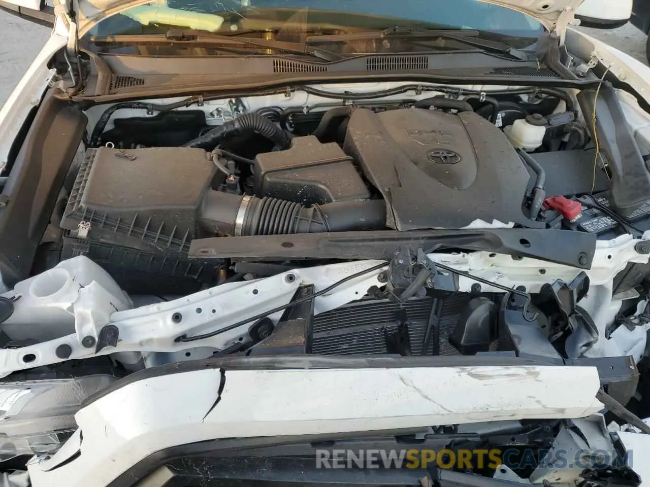 11 fotografías del automóvil dañado 3TMCZ5AN8PM548992 TOYOTA TACOMA 2023
