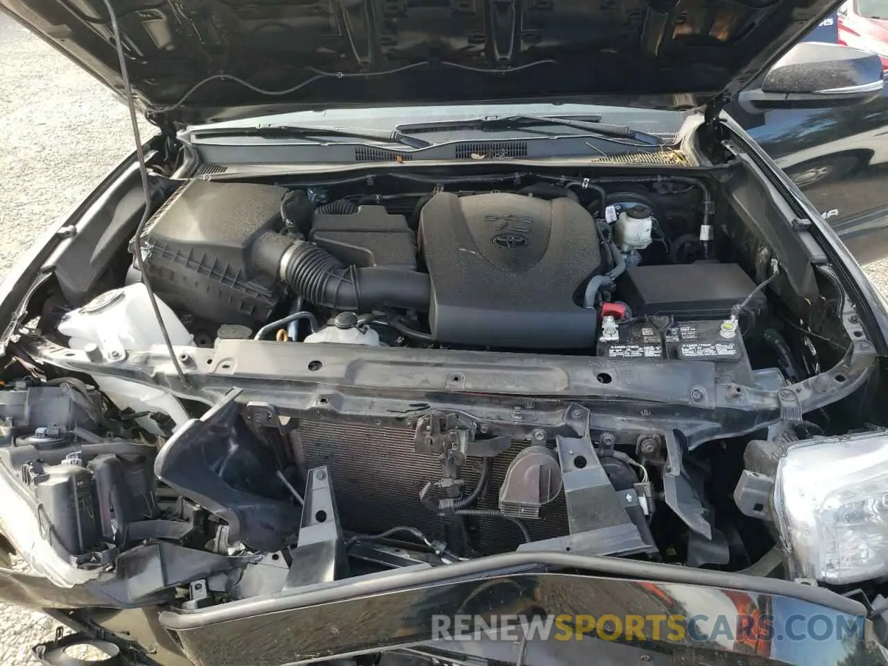 11 fotografías del automóvil dañado 3TMCZ5AN8PM567252 TOYOTA TACOMA 2023