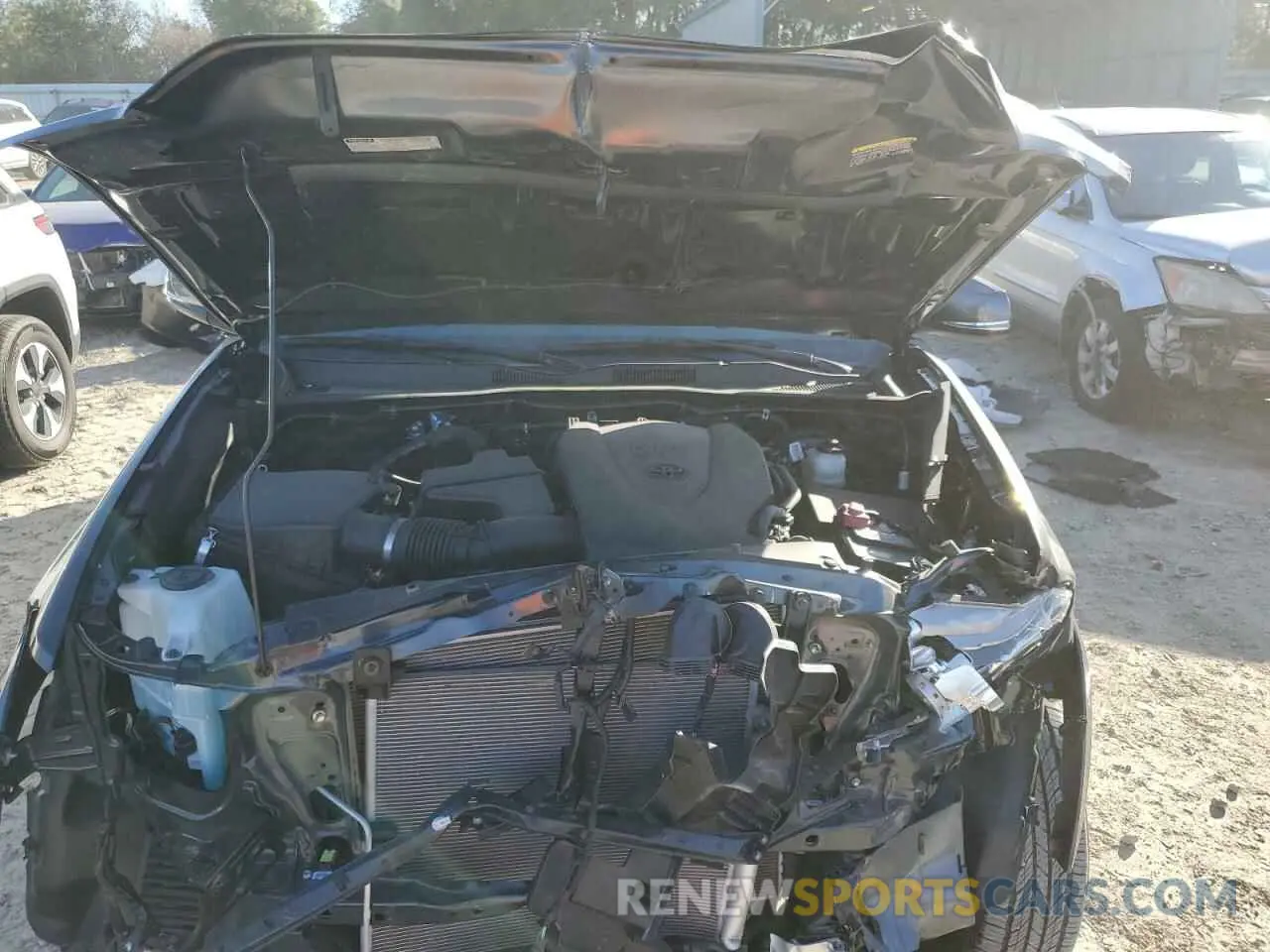 11 fotografías del automóvil dañado 3TMCZ5AN8PM620225 TOYOTA TACOMA 2023