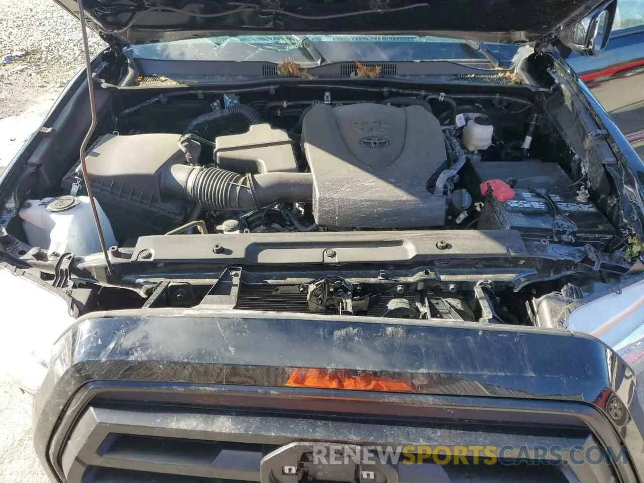 11 fotografías del automóvil dañado 3TMCZ5AN9PM631136 TOYOTA TACOMA 2023