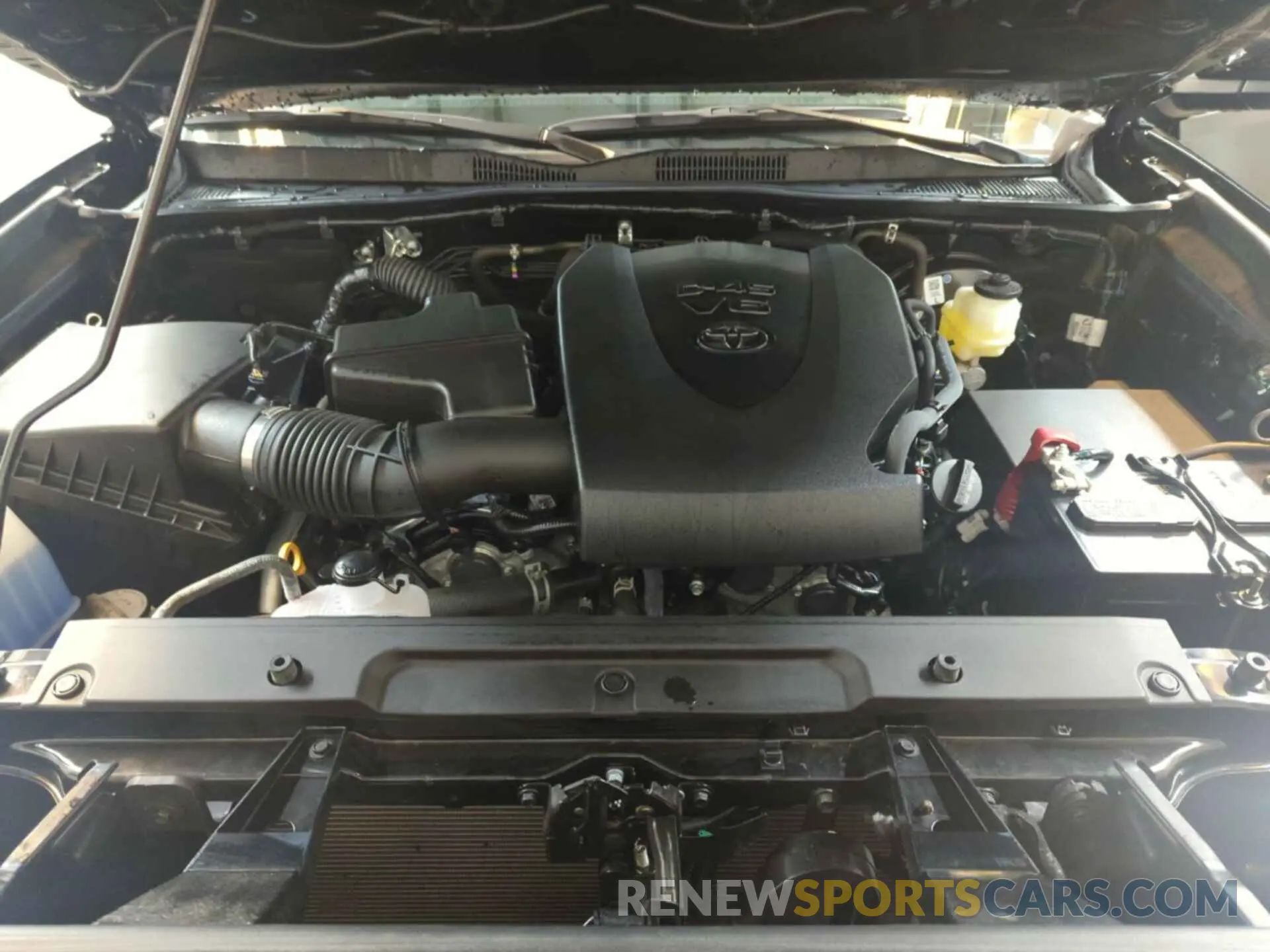 12 fotografías del automóvil dañado 3TMCZ5ANXPM542904 TOYOTA TACOMA 2023