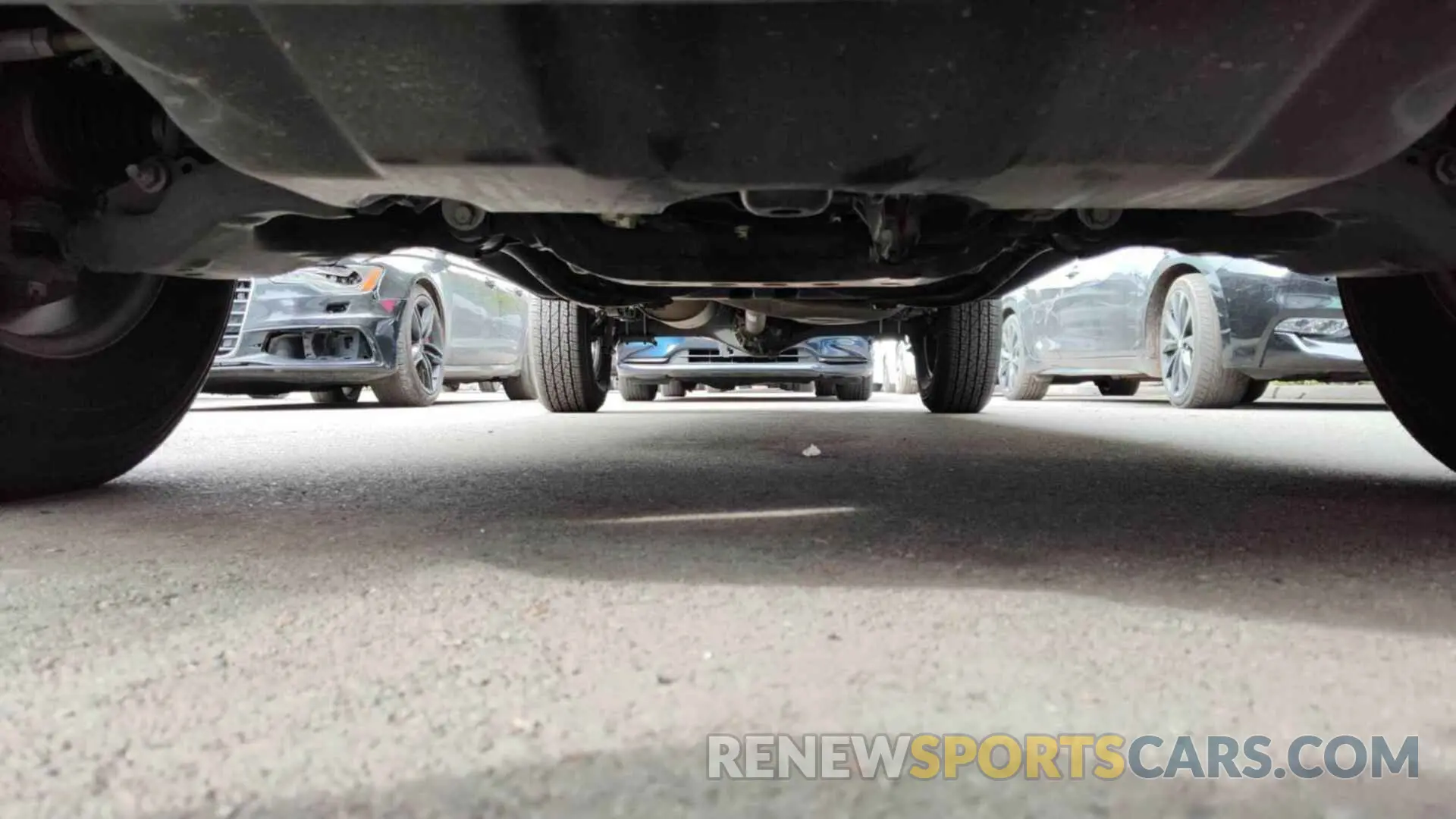 24 fotografías del automóvil dañado 3TMCZ5ANXPM542904 TOYOTA TACOMA 2023
