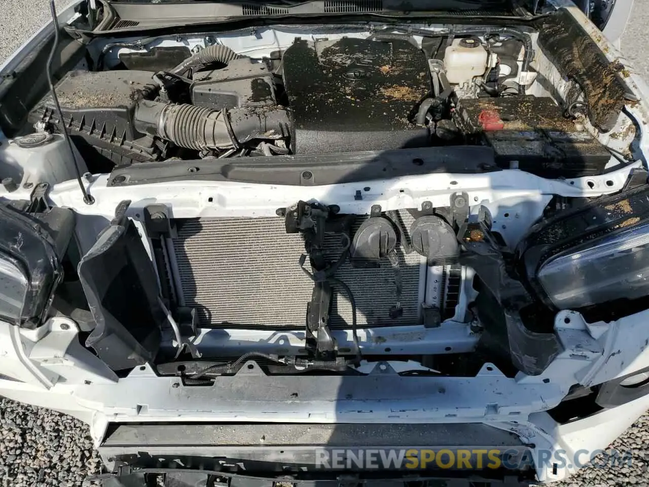 11 fotografías del automóvil dañado 3TMCZ5ANXPM649581 TOYOTA TACOMA 2023