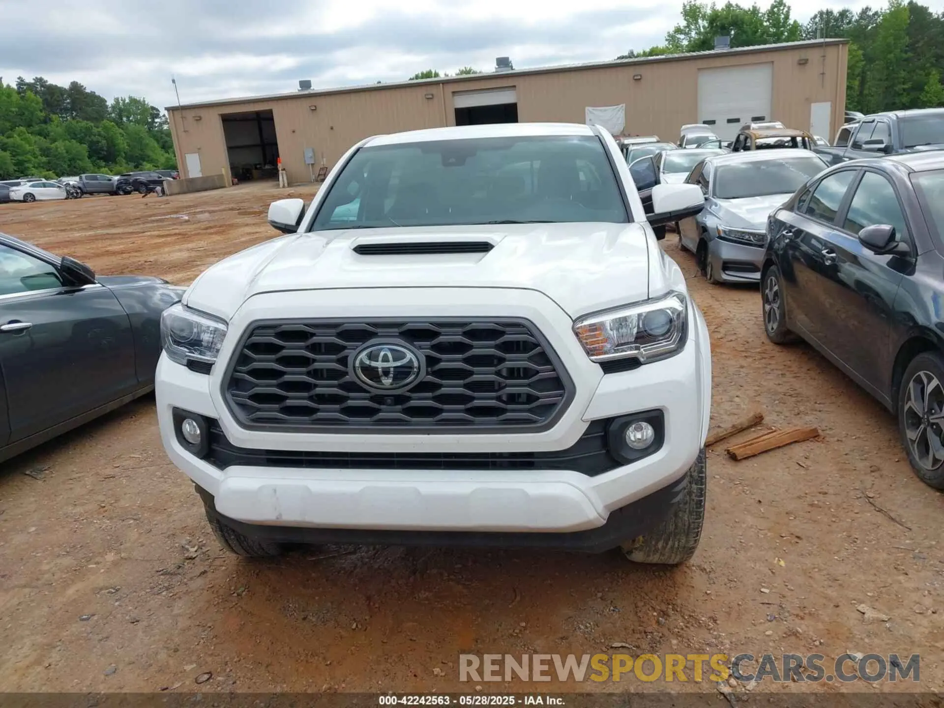 12 fotografías del automóvil dañado 3TMDZ5BN0PM153028 TOYOTA TACOMA 2023