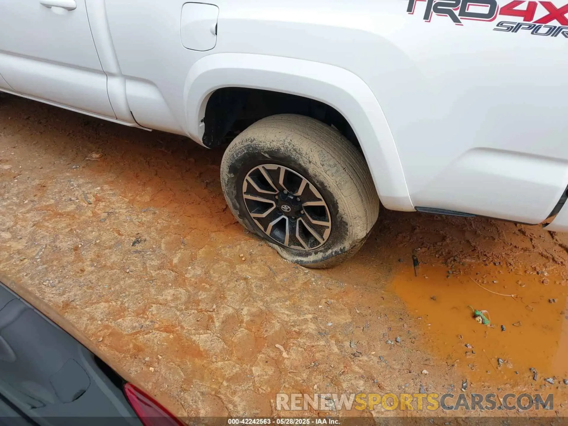 6 fotografías del automóvil dañado 3TMDZ5BN0PM153028 TOYOTA TACOMA 2023