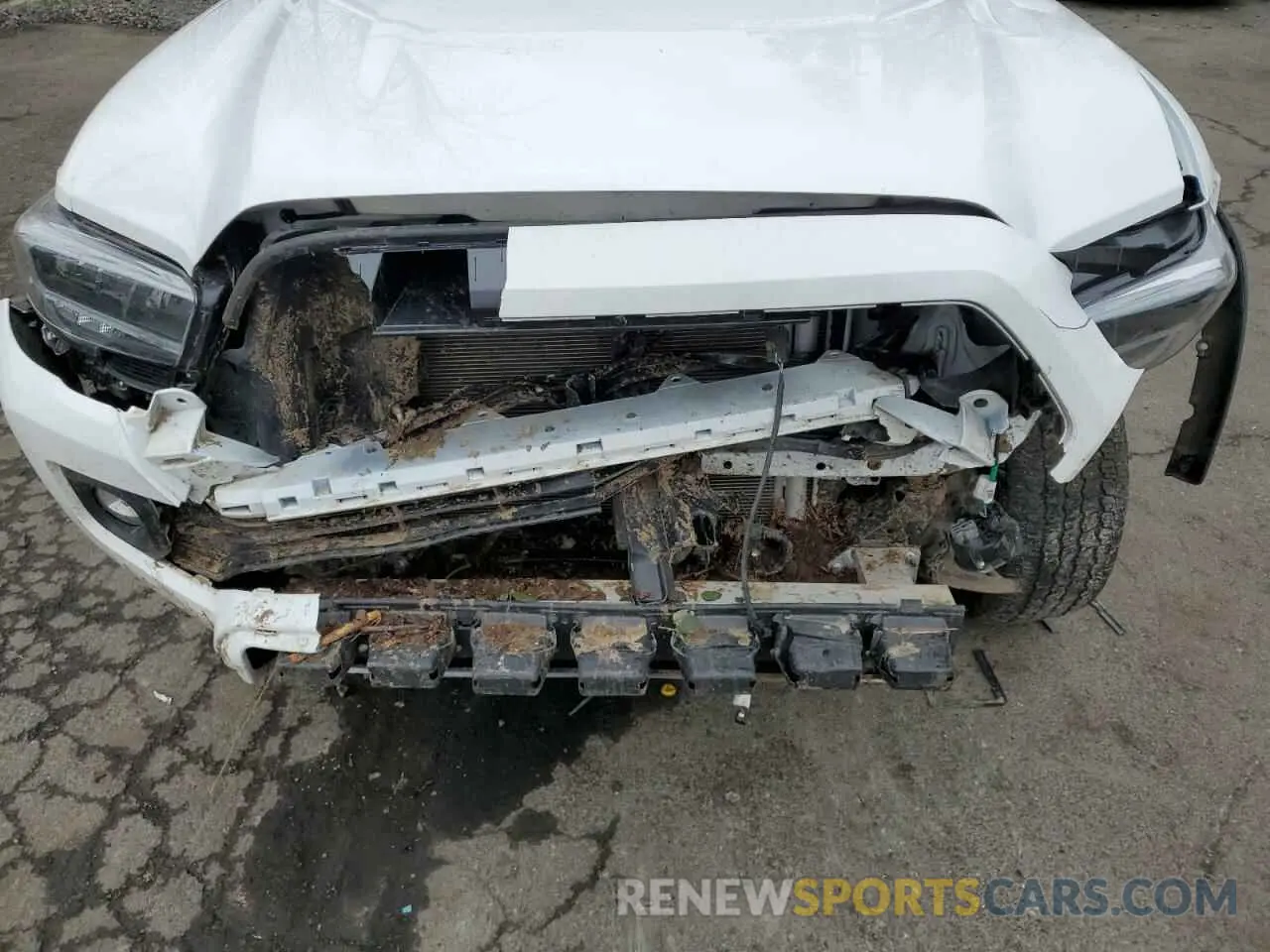 13 fotografías del automóvil dañado 3TMDZ5BN0PM157807 TOYOTA TACOMA 2023