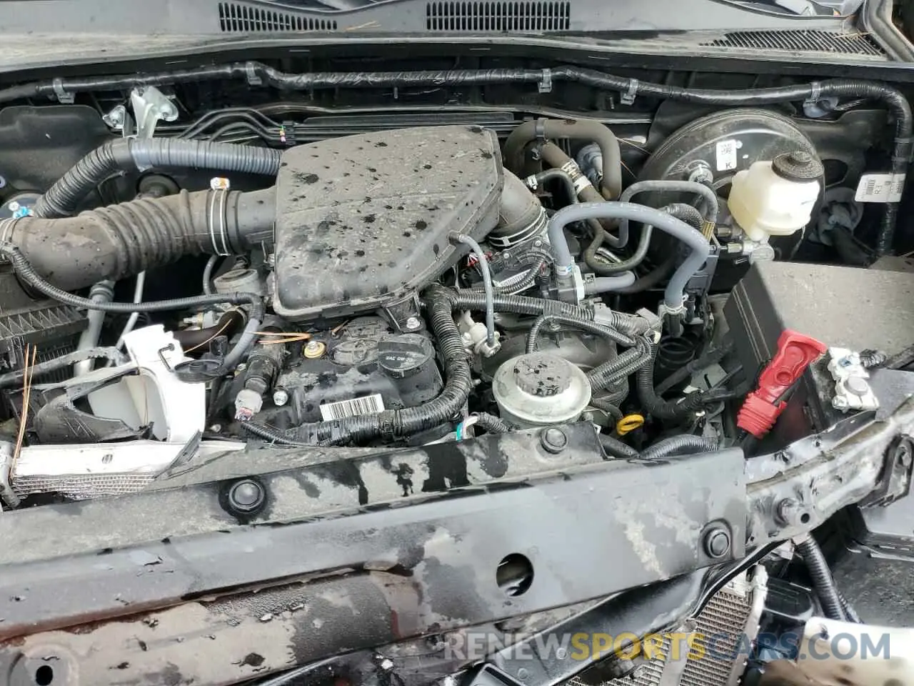 11 fotografías del automóvil dañado 3TYAX5GN8PT071604 TOYOTA TACOMA 2023