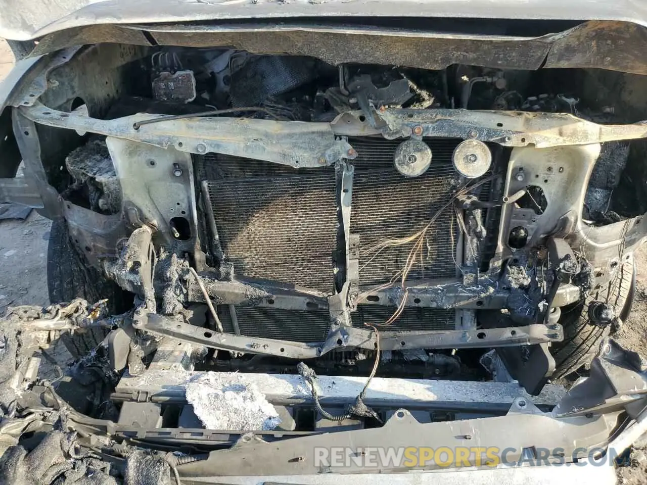11 fotografías del automóvil dañado 3TYAZ5CN4PT031164 TOYOTA TACOMA 2023