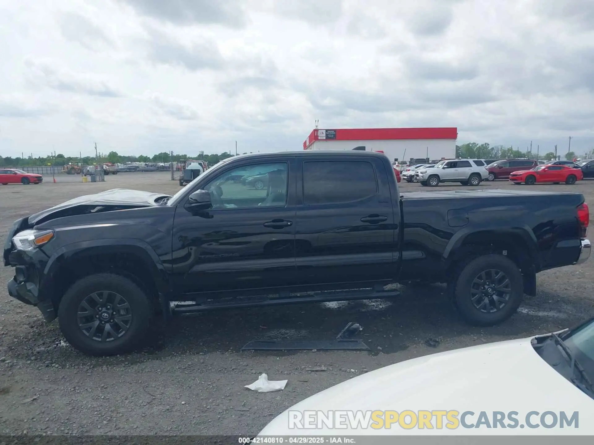 14 fotografías del automóvil dañado 3TYBZ5DN9PT002746 TOYOTA TACOMA 2023