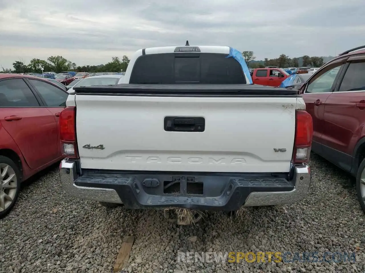 6 fotografías del automóvil dañado 3TYCZ5AN1PT140273 TOYOTA TACOMA 2023