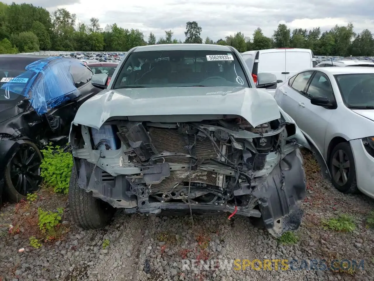 5 fotografías del automóvil dañado 3TYCZ5AN3PT107646 TOYOTA TACOMA 2023