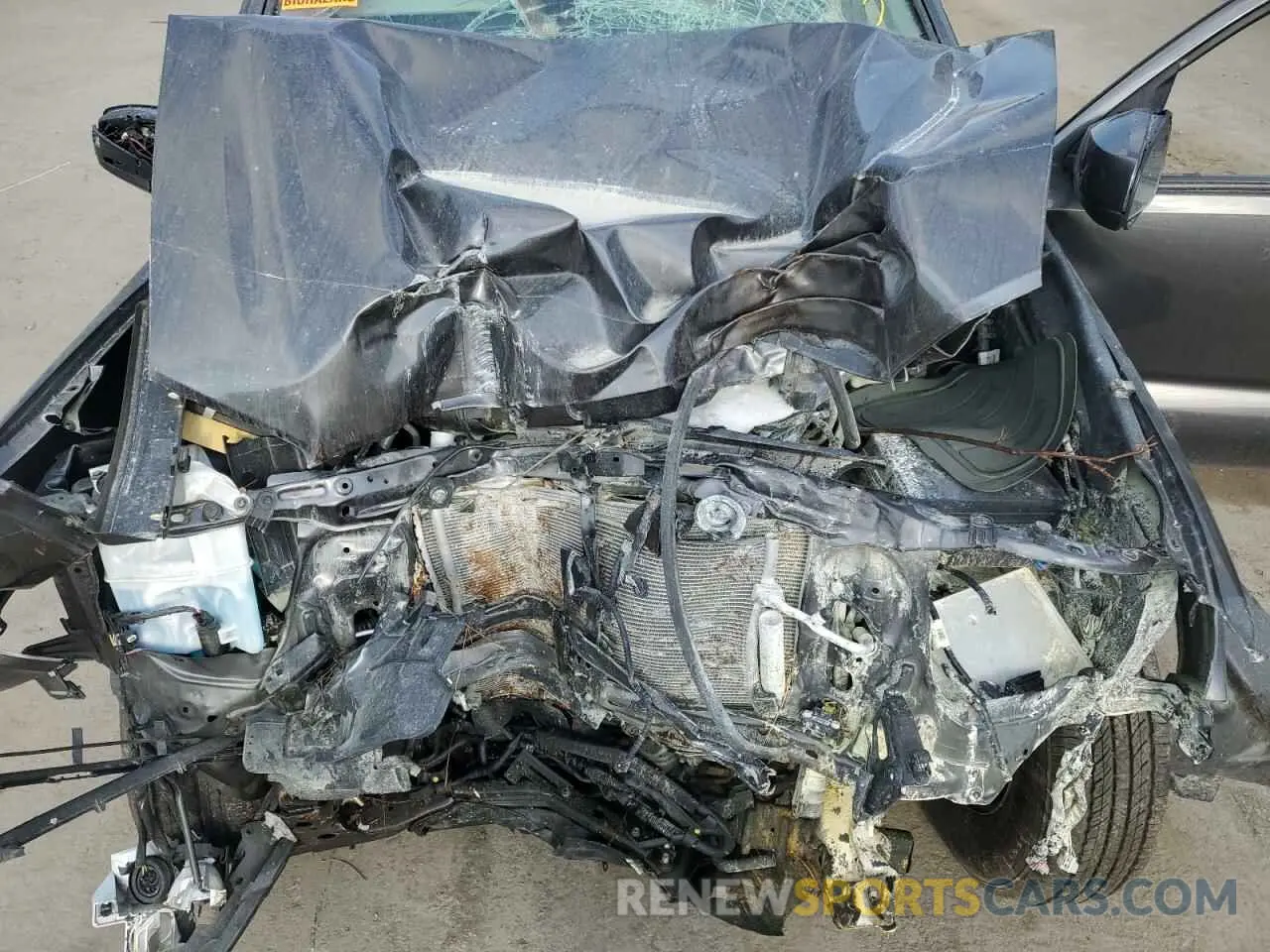 11 fotografías del automóvil dañado 3TYCZ5AN3PT139142 TOYOTA TACOMA 2023