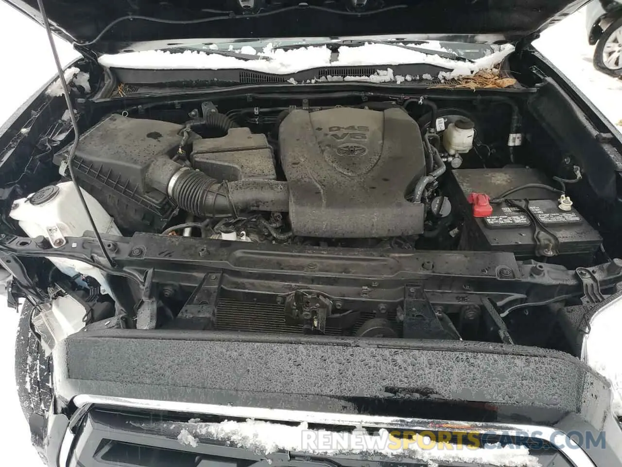 11 fotografías del automóvil dañado 3TYCZ5AN3PT149184 TOYOTA TACOMA 2023