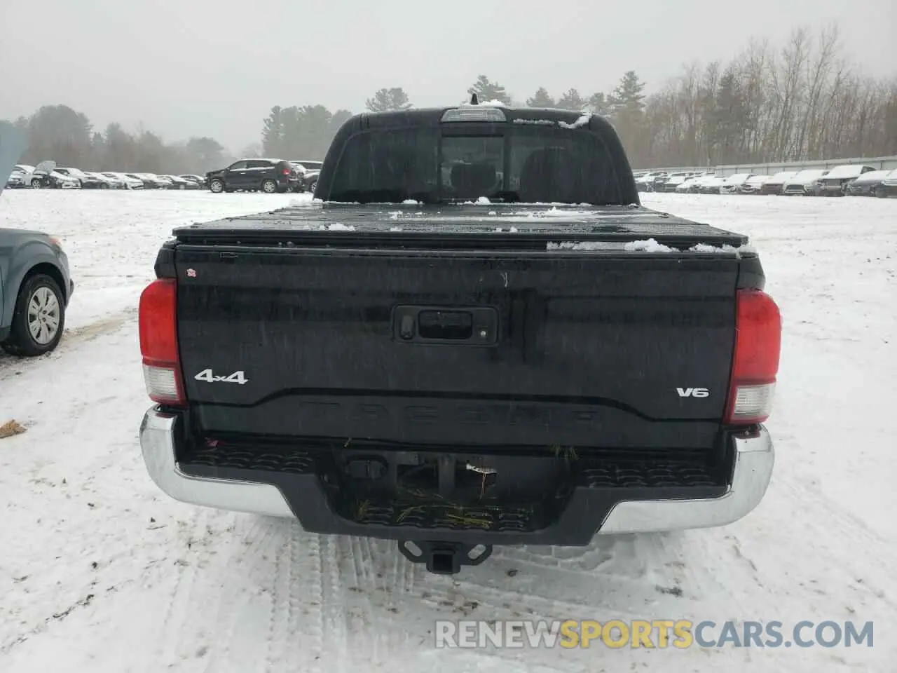 6 fotografías del automóvil dañado 3TYCZ5AN3PT149184 TOYOTA TACOMA 2023