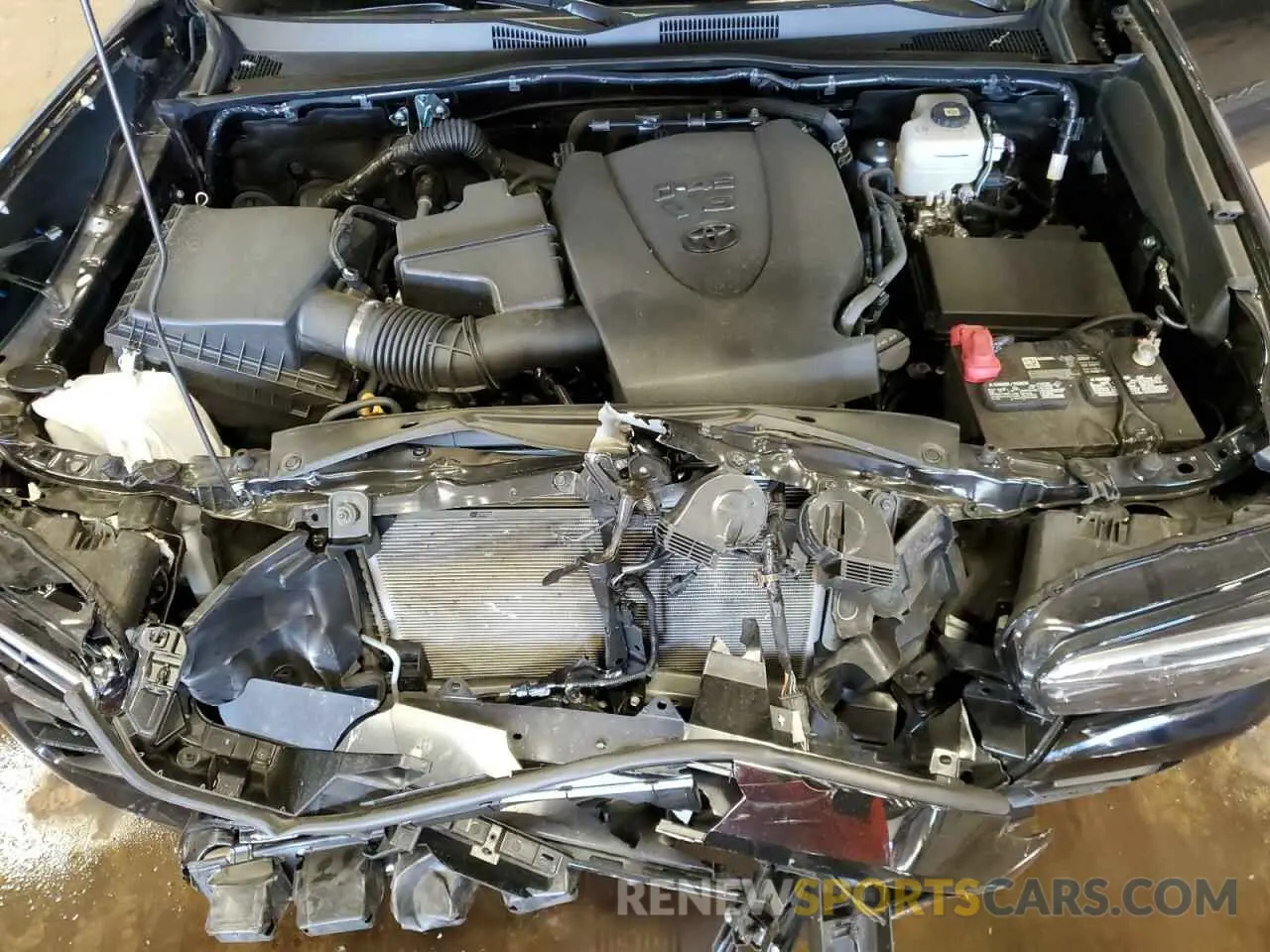 11 fotografías del automóvil dañado 3TYCZ5AN4PT172537 TOYOTA TACOMA 2023