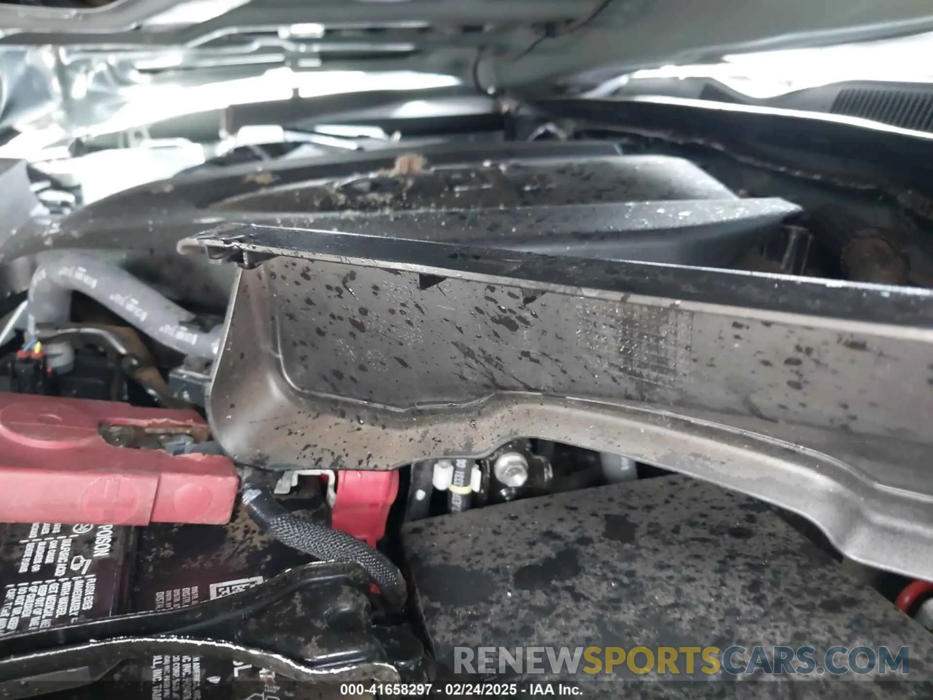 10 fotografías del automóvil dañado 3TYCZ5AN7PT145185 TOYOTA TACOMA 2023