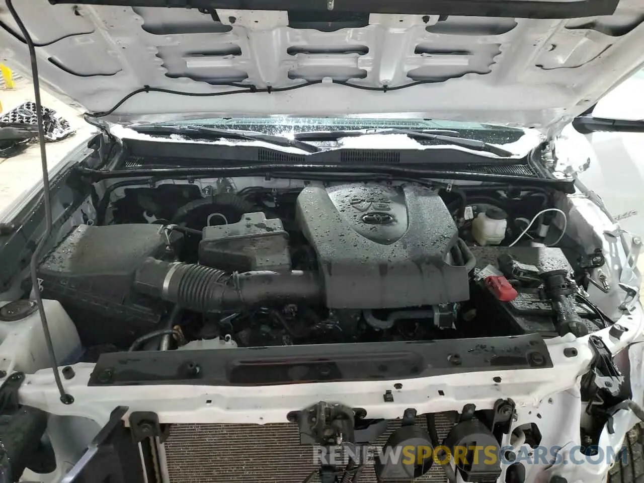 11 fotografías del automóvil dañado 3TYDZ5BN0PT029779 TOYOTA TACOMA 2023