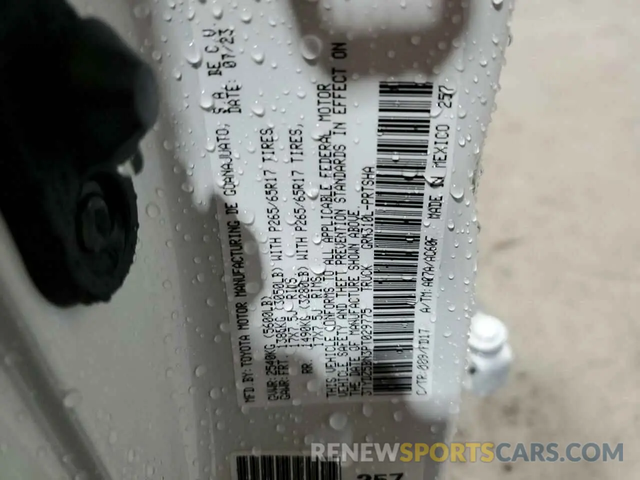 12 fotografías del automóvil dañado 3TYDZ5BN3PT029775 TOYOTA TACOMA 2023