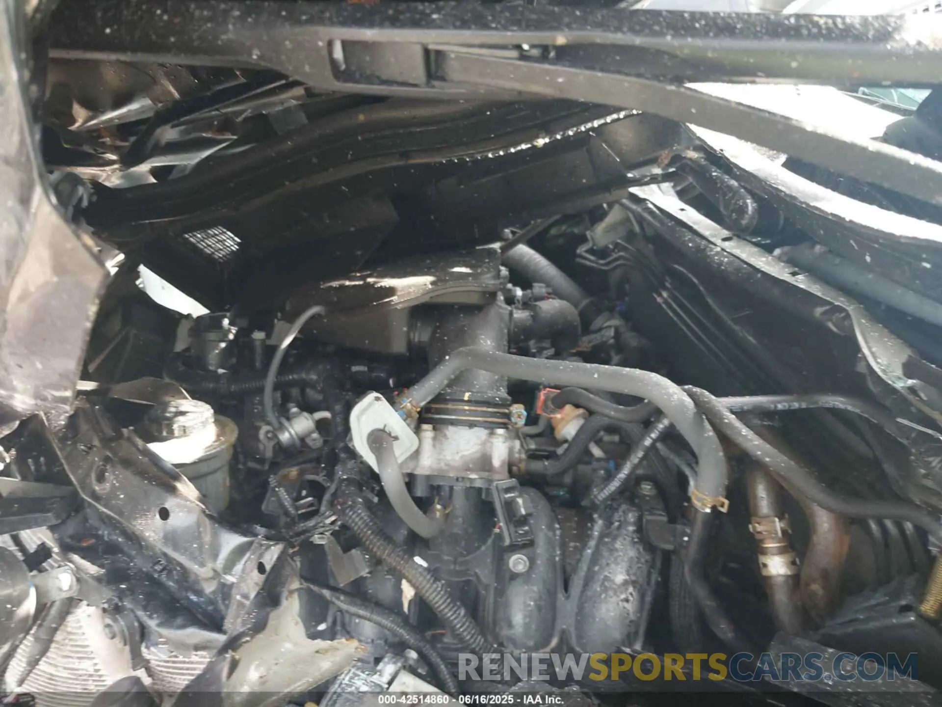 10 fotografías del automóvil dañado 3TYRX5GN8PT075851 TOYOTA TACOMA 2023