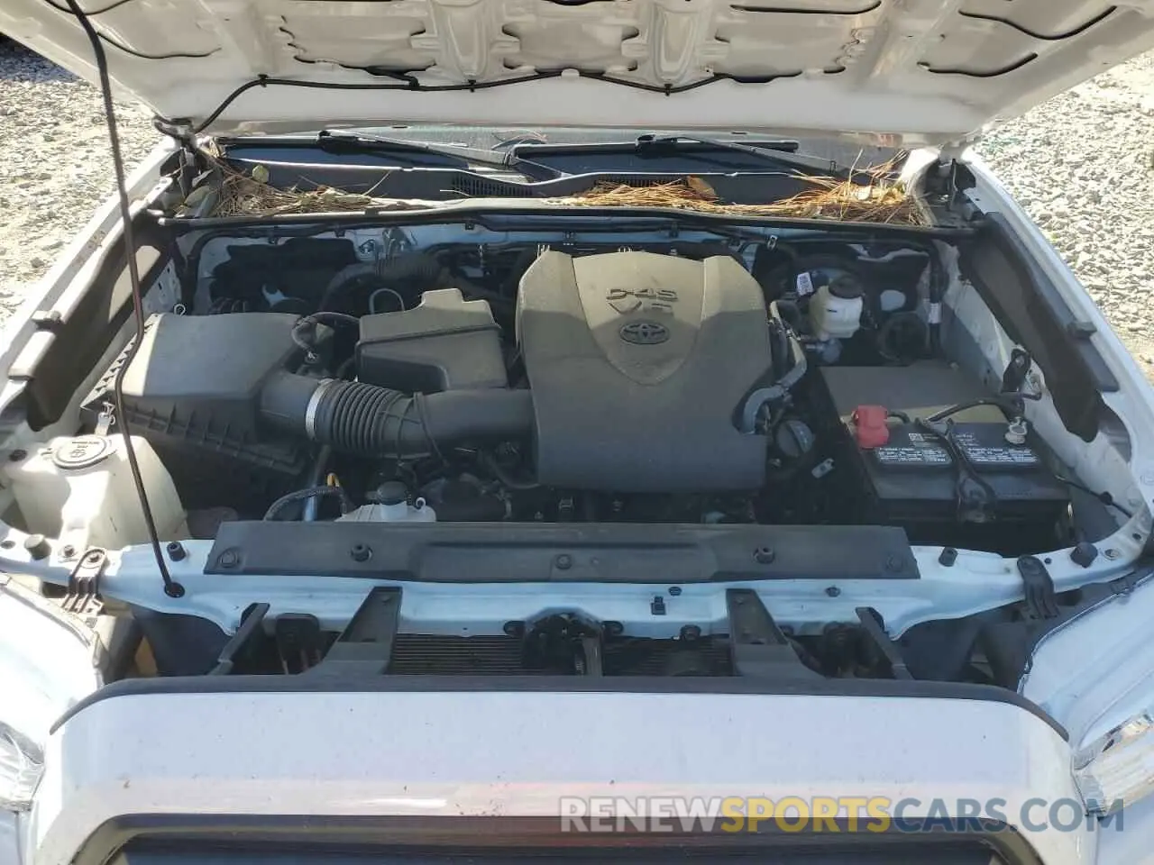 11 fotografías del automóvil dañado 3TYRZ5CN9PT024598 TOYOTA TACOMA 2023