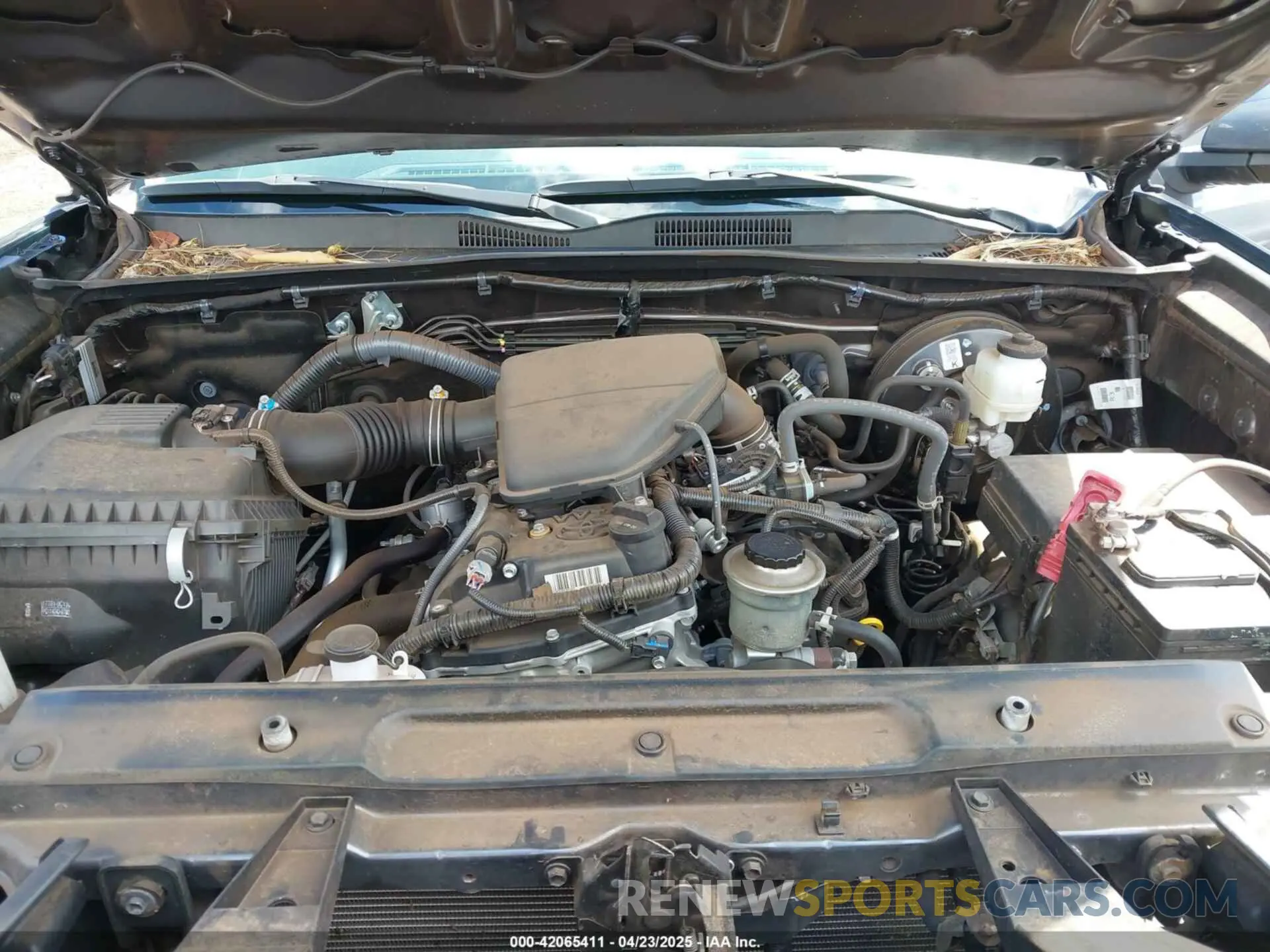 10 fotografías del automóvil dañado 3TYSX5EN5PT019063 TOYOTA TACOMA 2023