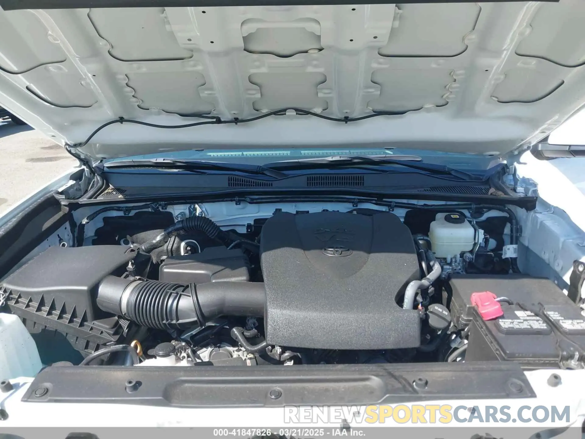 10 fotografías del automóvil dañado 3TYSZ5AN3PT123017 TOYOTA TACOMA 2023