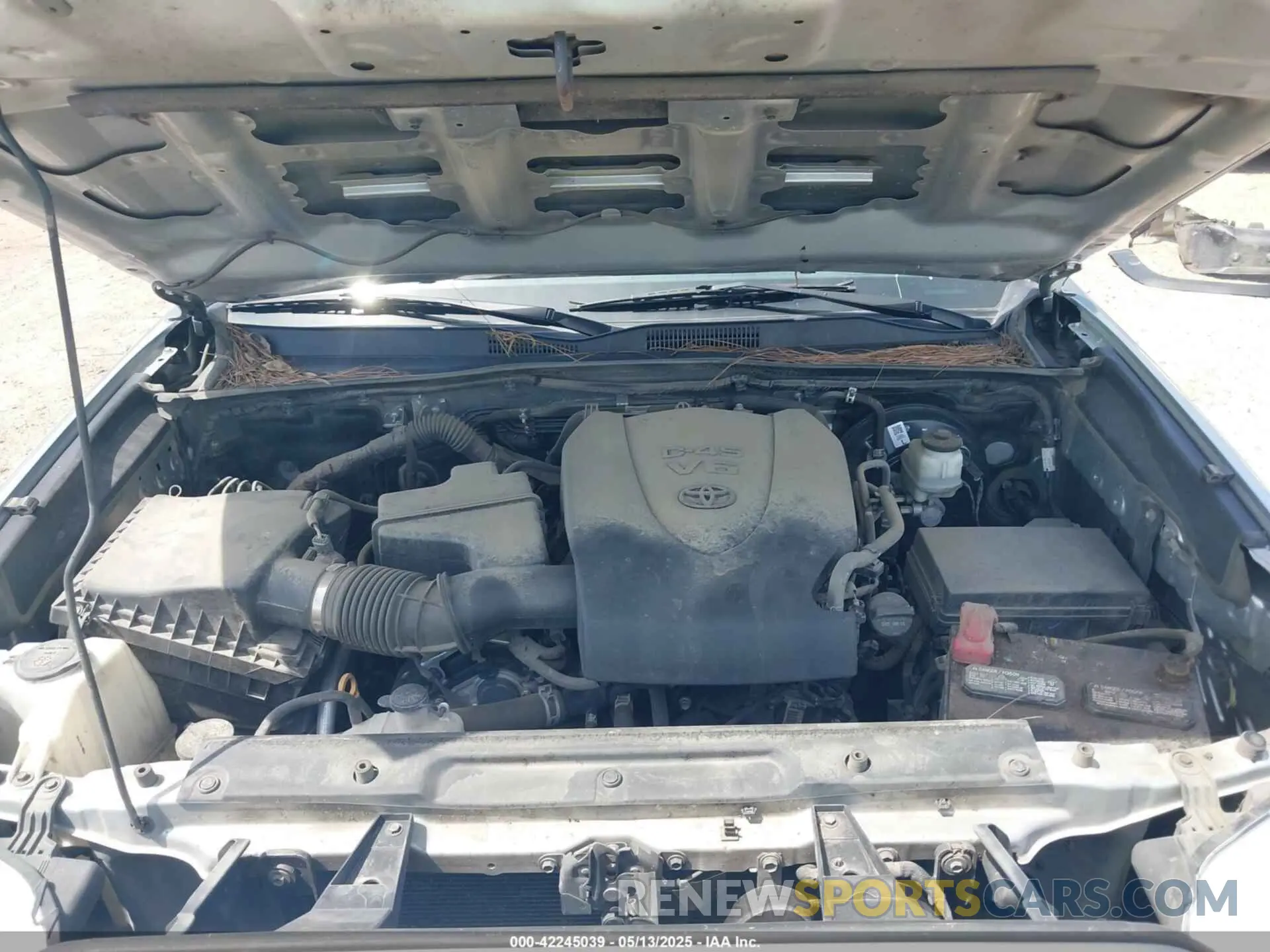 10 fotografías del automóvil dañado 3TYSZ5AN9PT108893 TOYOTA TACOMA 2023