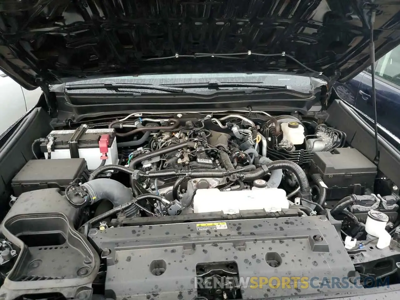 11 fotografías del automóvil dañado 3TMKB5FN1RM001347 TOYOTA TACOMA 2024