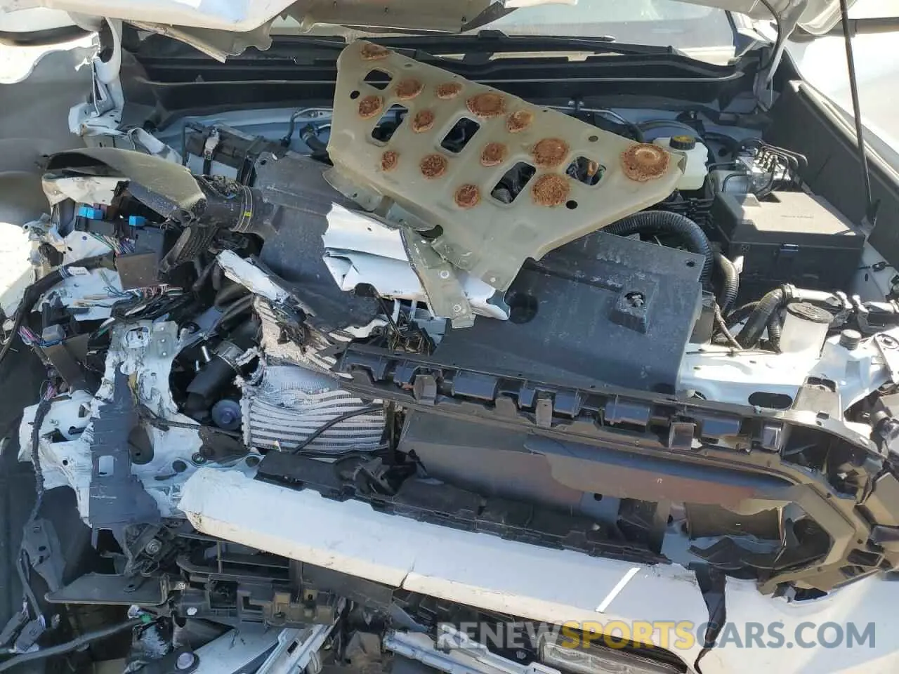 11 fotografías del automóvil dañado 3TMKB5FN5RM016112 TOYOTA TACOMA 2024