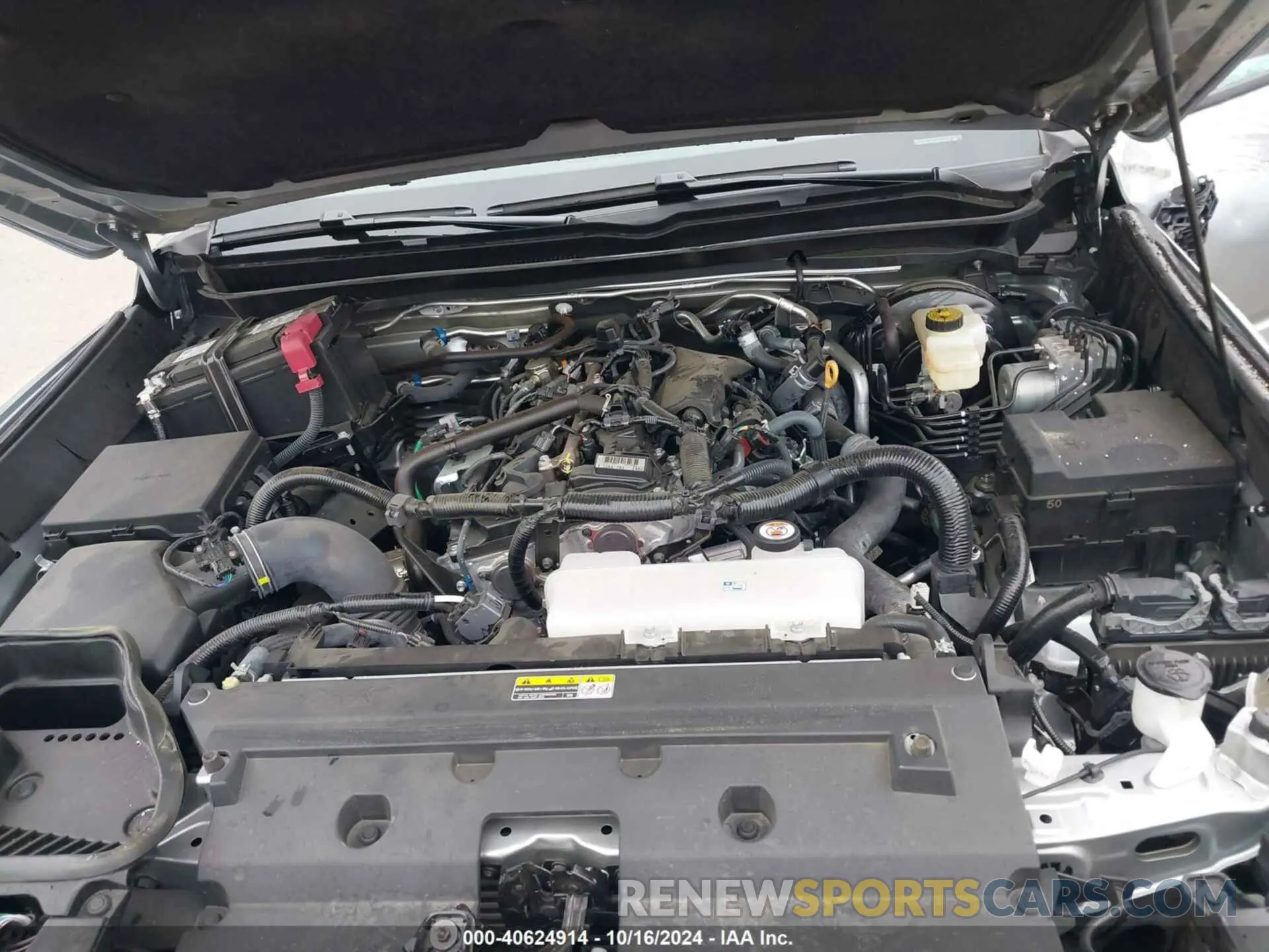 10 fotografías del automóvil dañado 3TMLB5JN8RM031702 TOYOTA TACOMA 2024