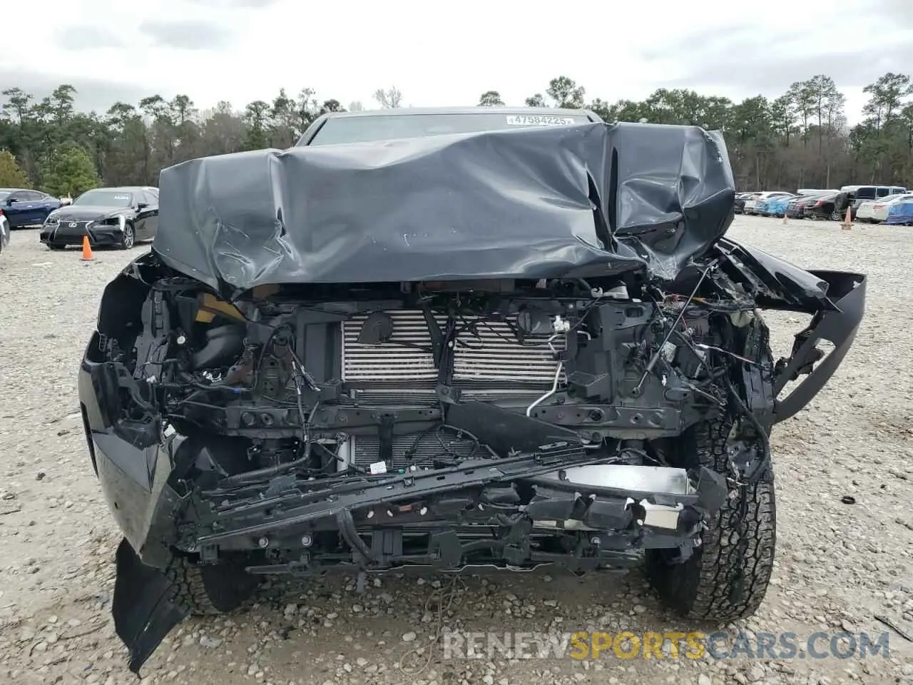 5 fotografías del automóvil dañado 3TMLB5JNXRM018756 TOYOTA TACOMA 2024