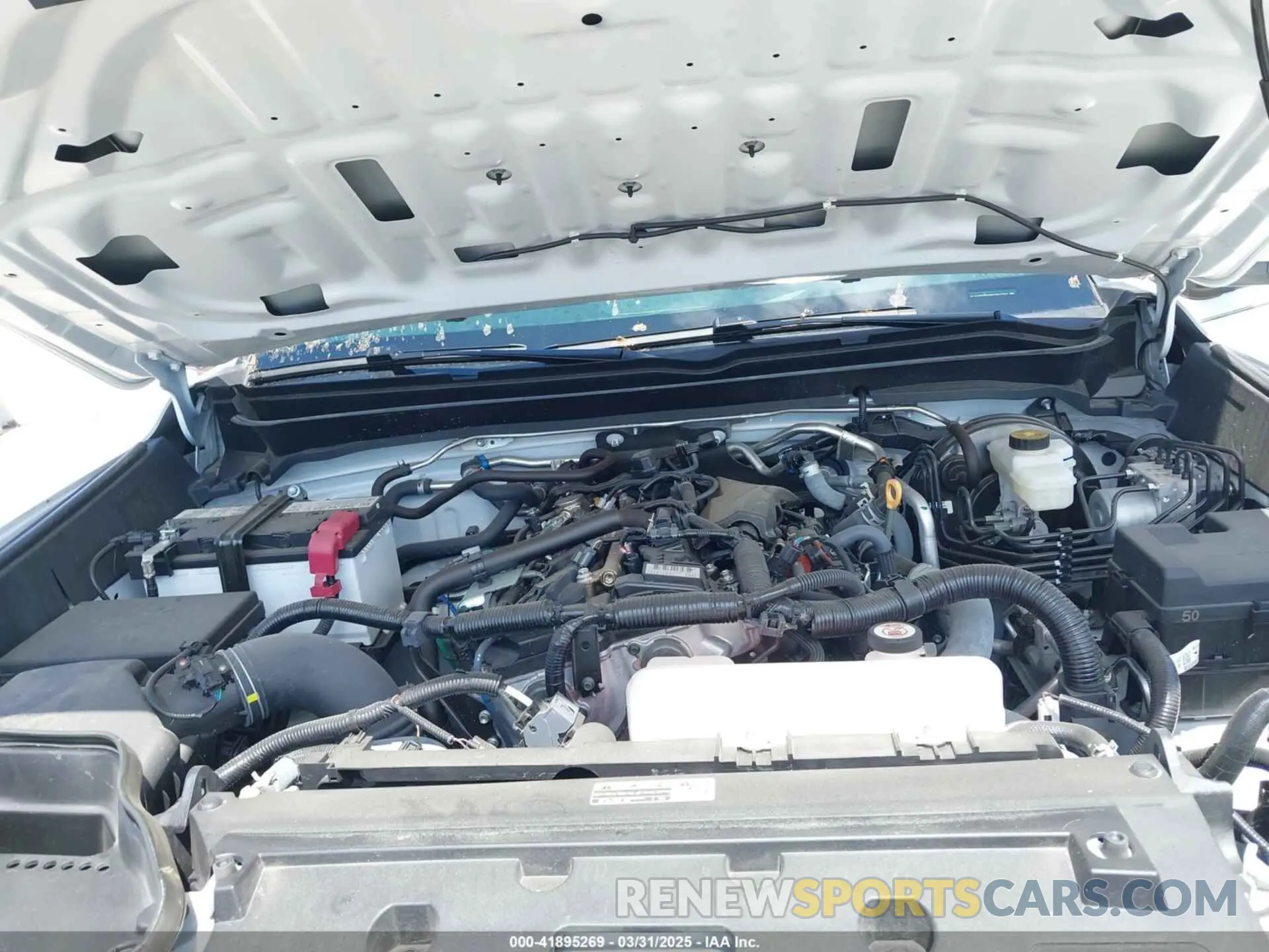 10 fotografías del automóvil dañado 3TYKB5FN0RT007502 TOYOTA TACOMA 2024