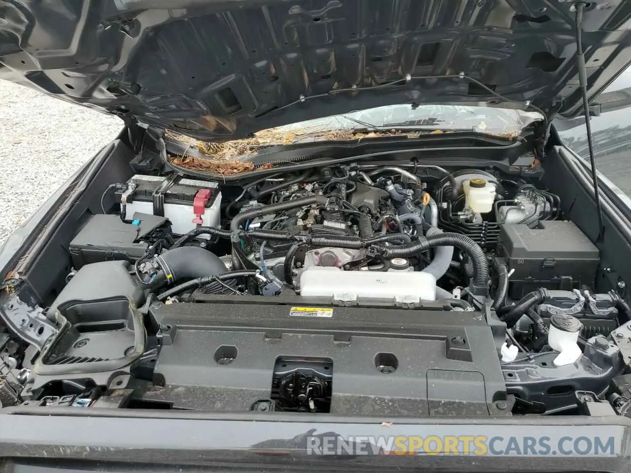 11 fotografías del automóvil dañado 3TYKB5FN3RT005663 TOYOTA TACOMA 2024